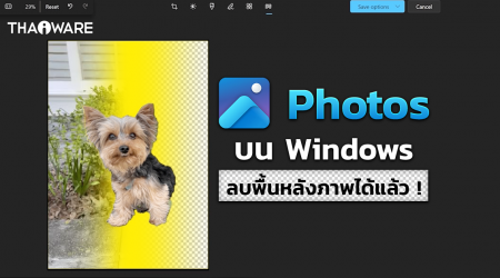 Windows อัปเดตฟีเจอร์ใน Photos ลบพื้นหลังออกจากรูปได้แล้ว พร้อมการแสดงภาพแบบใหม่