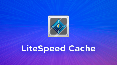 Web Dev งานเข้าอีกครั้ง ! แฮกเกอร์ใช้ช่องโหว่ LiteSpeed Cache ในการเข้าครอบครองเว็บแบบ Wordpress