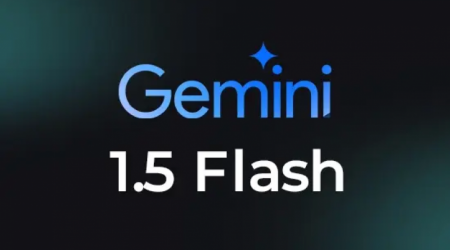 นี่มัน The Flash ! AI Gemini Flash Model 1.5 สามารถวิเคราะห์มัลแวร์ได้ภายใน 13 วินาที